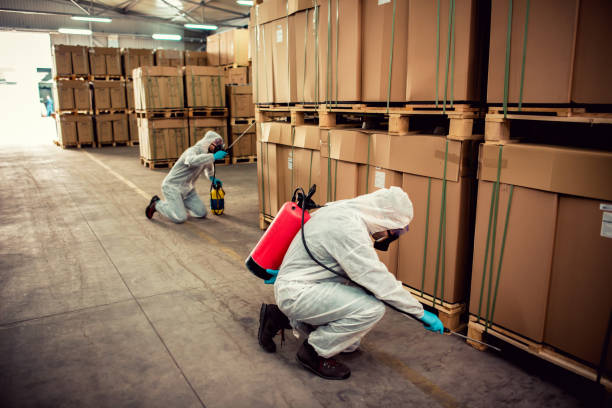 Best Pest Control Near Me in Camden, AL