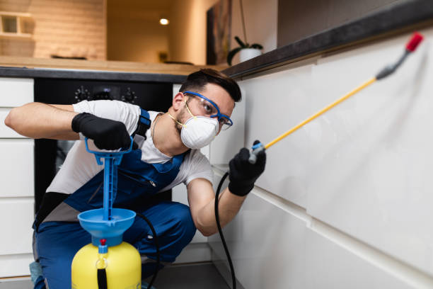 Best Affordable Pest Control Services  in Camden, AL