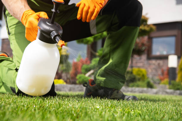 Flea Control Services in Camden, AL