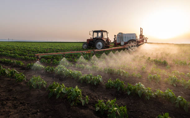 Pest Prevention Services in Camden, AL