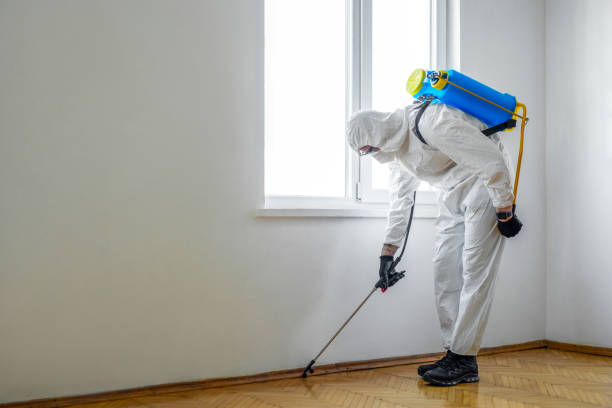 Professional Pest Control in Camden, AL