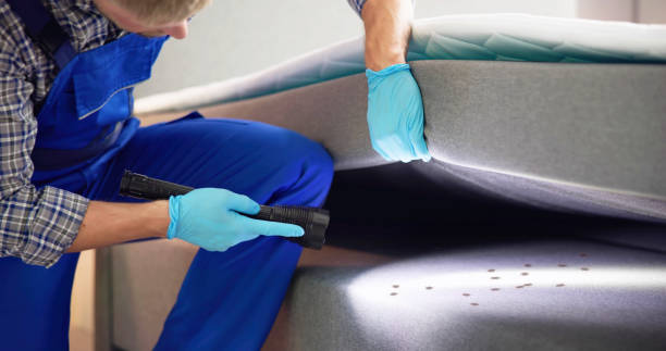 Trusted Camden, AL Pest Control Experts