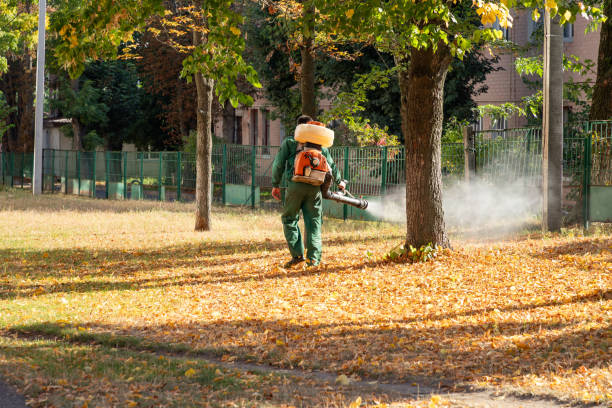 Best Emergency Pest Control  in Camden, AL