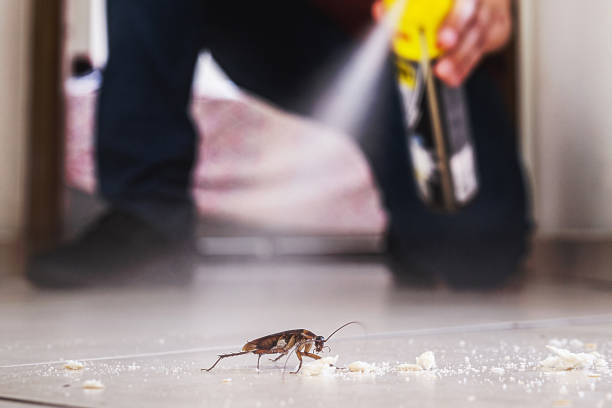 Best Pest Control Treatment  in Camden, AL